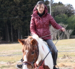 乗馬