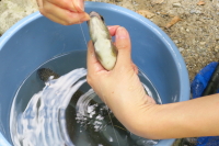 那須フィッシュランド5
