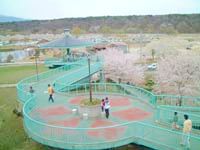 那須高原で桜を見る！４