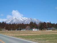 地元の建築家と業者